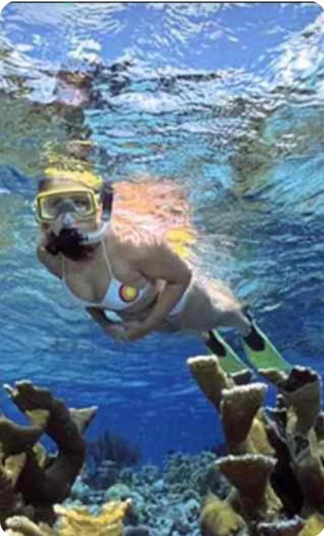 Palmitas Swimming Pool Hostel Aruba
